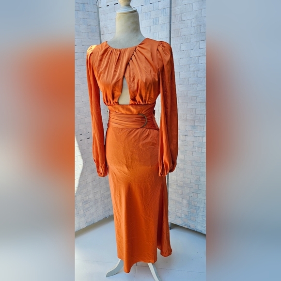 PETAL AND PUP MIDI DRESS - Picture 9 of 12